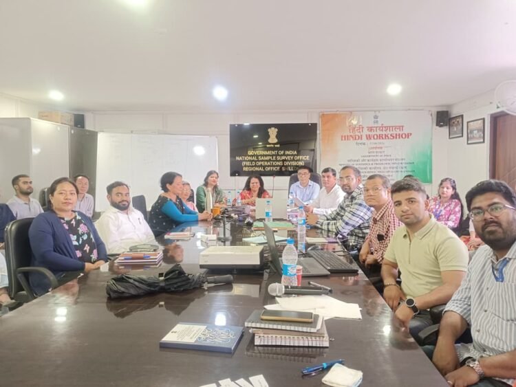 NSO holds Hindi workshop