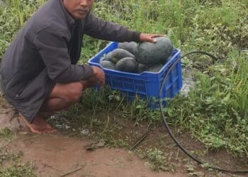 PMKSY-PDMC: Harigaon farmer triples earning 