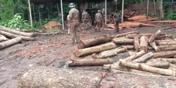Illegal sawmills shut, timber and machineries seized