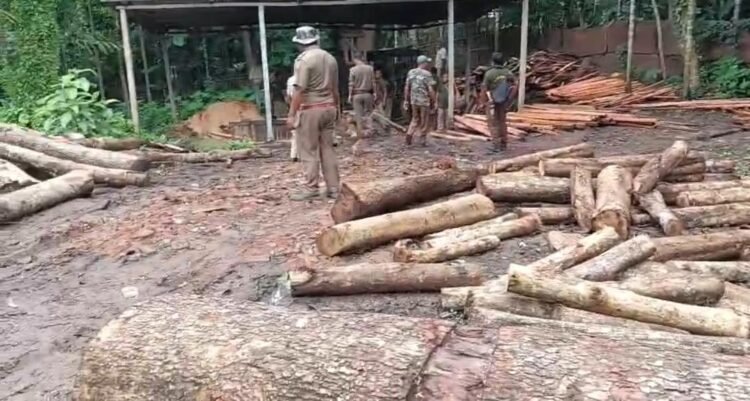 Illegal sawmills shut, timber and machineries seized