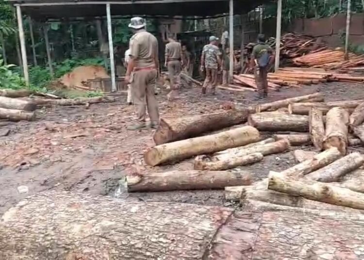 Illegal sawmills shut, timber and machineries seized