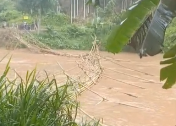 Washed away every monsoon, Lailad residents demand permanent bridge