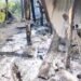 Manipur: 3 killed after assailants attack village in Kangpokpi