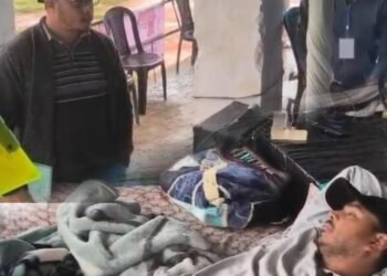 Did the Govt send a vet to check on hunger striker?