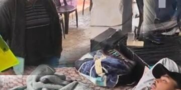 Did the Govt send a vet to check on hunger striker?