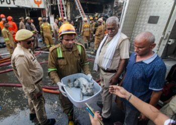 At least 15 dead as fire rips through Lucknow building, students among victims