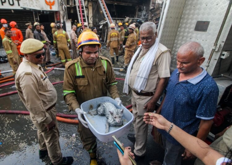 At least 15 dead as fire rips through Lucknow building, students among victims