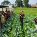 Khet Bachao Abhiyan: Farmers engaged across State