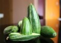 Good gourd! Food safety authorities investigate artificial veg enhancers