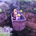 SDRF recover body from EJH coal mine after 6-day operation