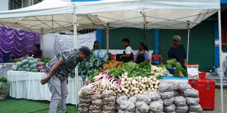 Sixth edition of farmers’ market celebrates harvest