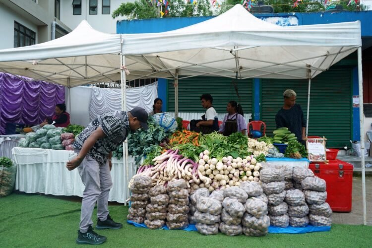 Sixth edition of farmers’ market celebrates harvest