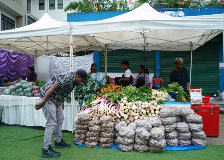 Sixth edition of farmers’ market celebrates harvest