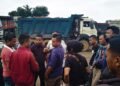 Over 200 trucks lack necessary docs: pressure groups say