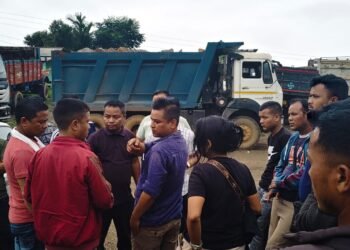 Over 200 trucks lack necessary docs: pressure groups say