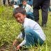 WED observed across state with plantation drives, awareness progs and Khet Bachao Abhiyan