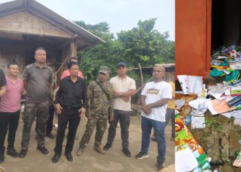 Elephants trash school, homes in SWKH