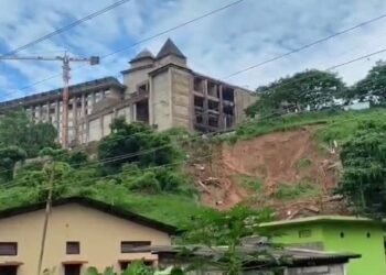 12 cattle killed as landslide buries cowshed