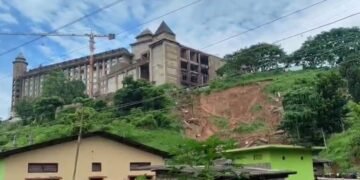 12 cattle killed as landslide buries cowshed