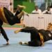 1500 athletes vie for glory at 14th Senior National Pencak Silat C’ship in Shillong