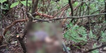 Body of 76-year-old missing woman found in SWKH forest