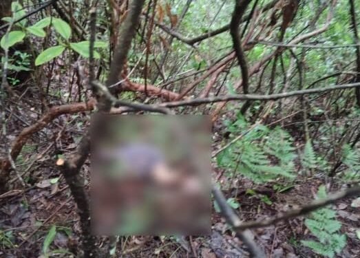 Body of 76-year-old missing woman found in SWKH forest