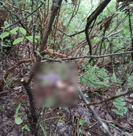 Body of 76-year-old missing woman found in SWKH forest