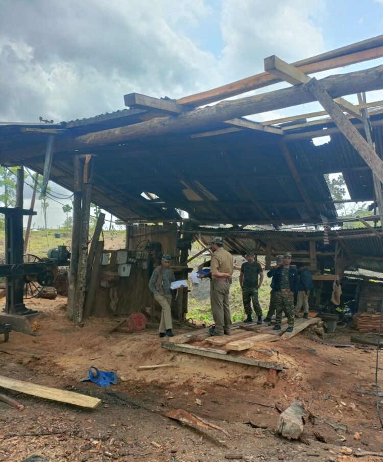 Illegal sawmills shut down in Jaintia Hills