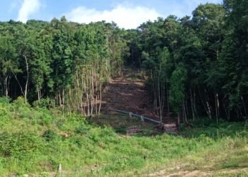 Locals fear terrible environmental effects of Shillong ropeway project