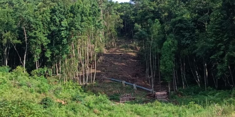 Locals fear terrible environmental effects of Shillong ropeway project