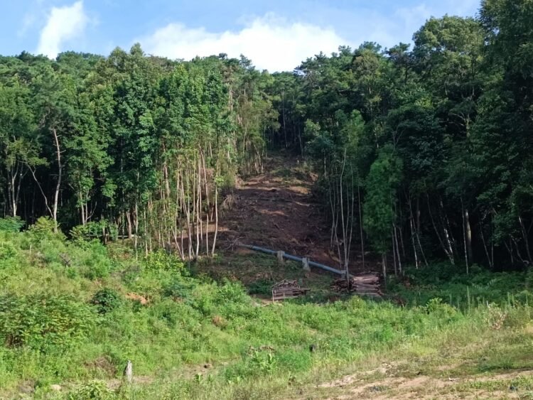 Locals fear terrible environmental effects of Shillong ropeway project