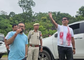 Assam MLA raises concerns over illegal tree felling in Langpih