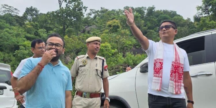 Assam MLA raises concerns over illegal tree felling in Langpih