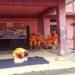 NDRF conducts disaster awareness prog in WJH