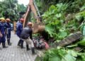 Assam flood: State govt requests Army, Air Force to be ready for rescue operations