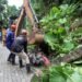 Assam flood: State govt requests Army, Air Force to be ready for rescue operations