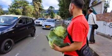 Farmers give away cabbages to highlight crash in prices