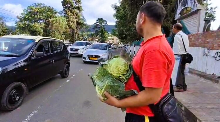 Farmers give away cabbages to highlight crash in prices