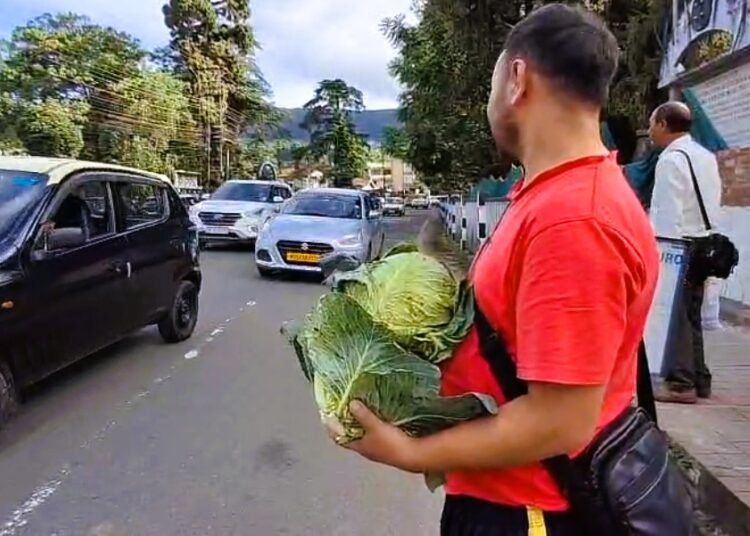 Farmers give away cabbages to highlight crash in prices