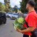 Farmers give away cabbages to highlight crash in prices