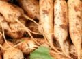 Now radish growers feel the bite