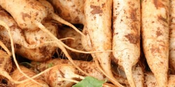 Now radish growers feel the bite