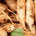Now radish growers feel the bite