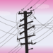 Govt begins process to remove haphazard wire eyesore
