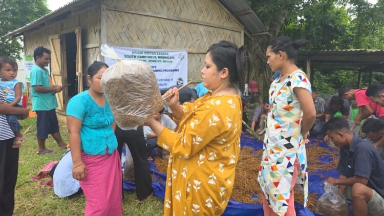 5-day mushroom cultivation training held in South Garo Hills