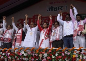 BJP, RSS trying to reduce tribal seats through delimitation: Congress