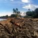 Floods: Meghalaya not interested in blame game, seeks to work with Assam