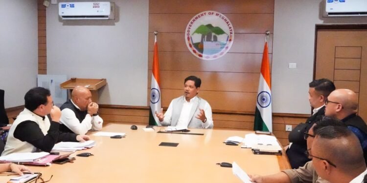 CM reviews Tracing the Roots initiative