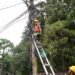 East Khasi Hills admin removes cluttered cables