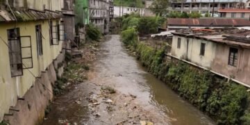 DC leads joint inspections on Wah Umkhrah pollution, Lum Survey drug hotspot